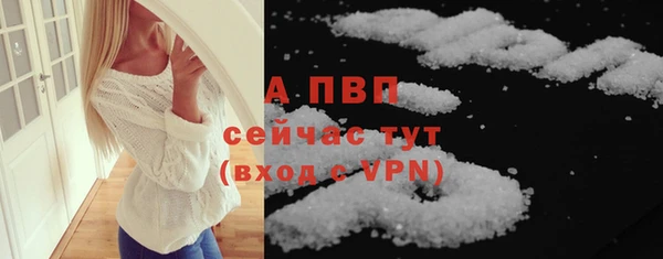шишки Белокуриха