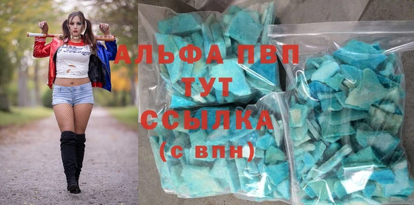 шишки Белокуриха
