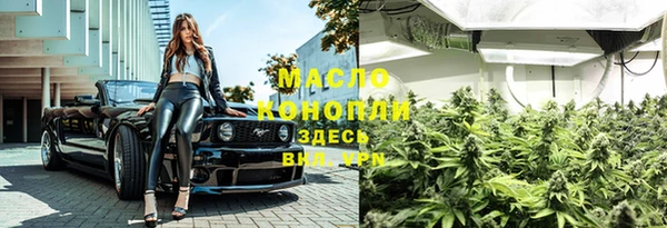 шишки Белокуриха